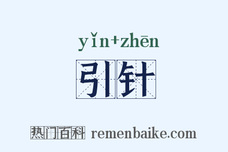 引针是什么意思的图片